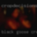Black Goose Creek, fucking