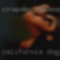 California dogging scene