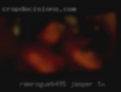 Remrogue6495 Jasper TX