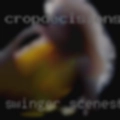 Swinger scenes